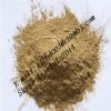 Armillaria Mellea Powder 